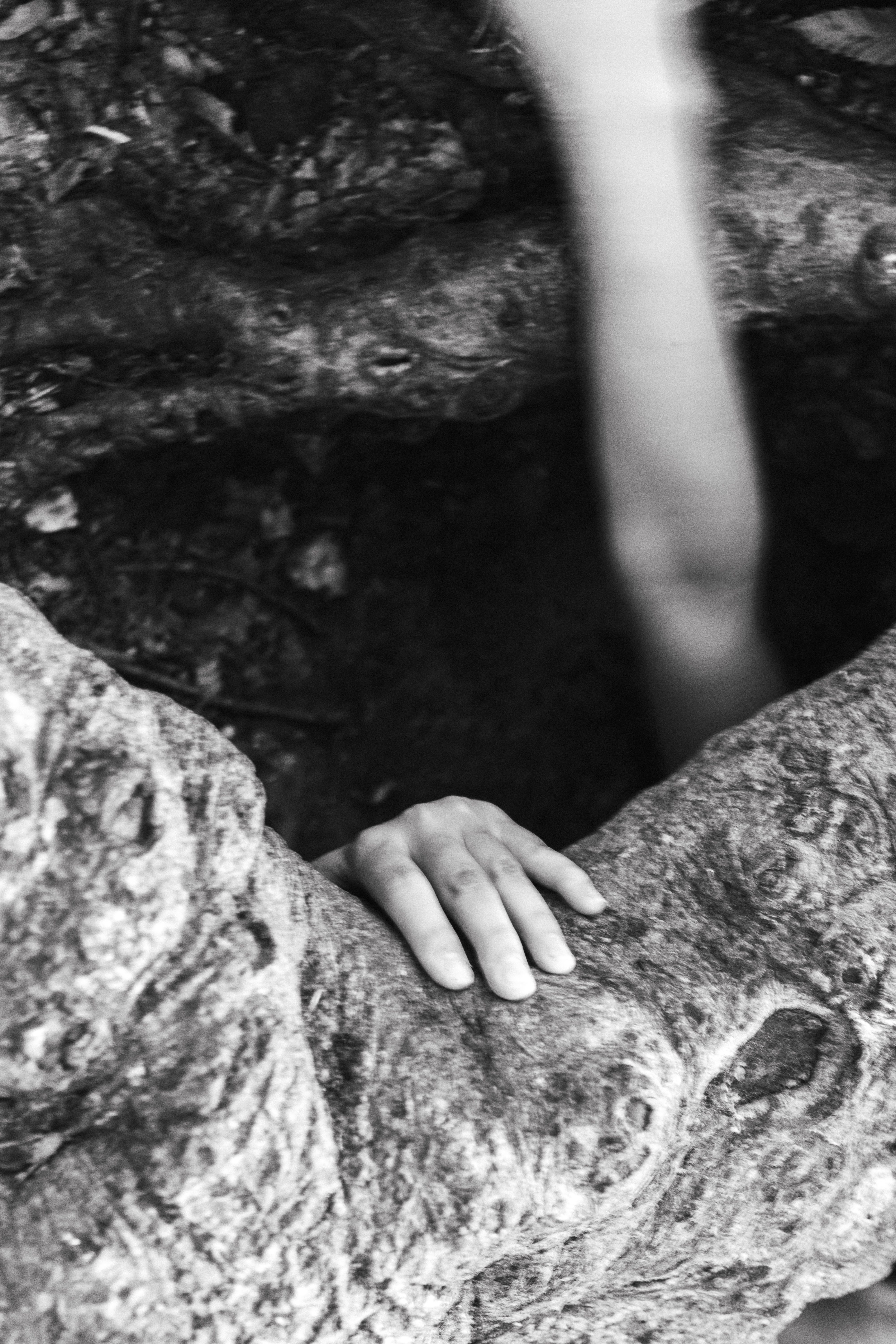 Murakami a perdu son caractère: