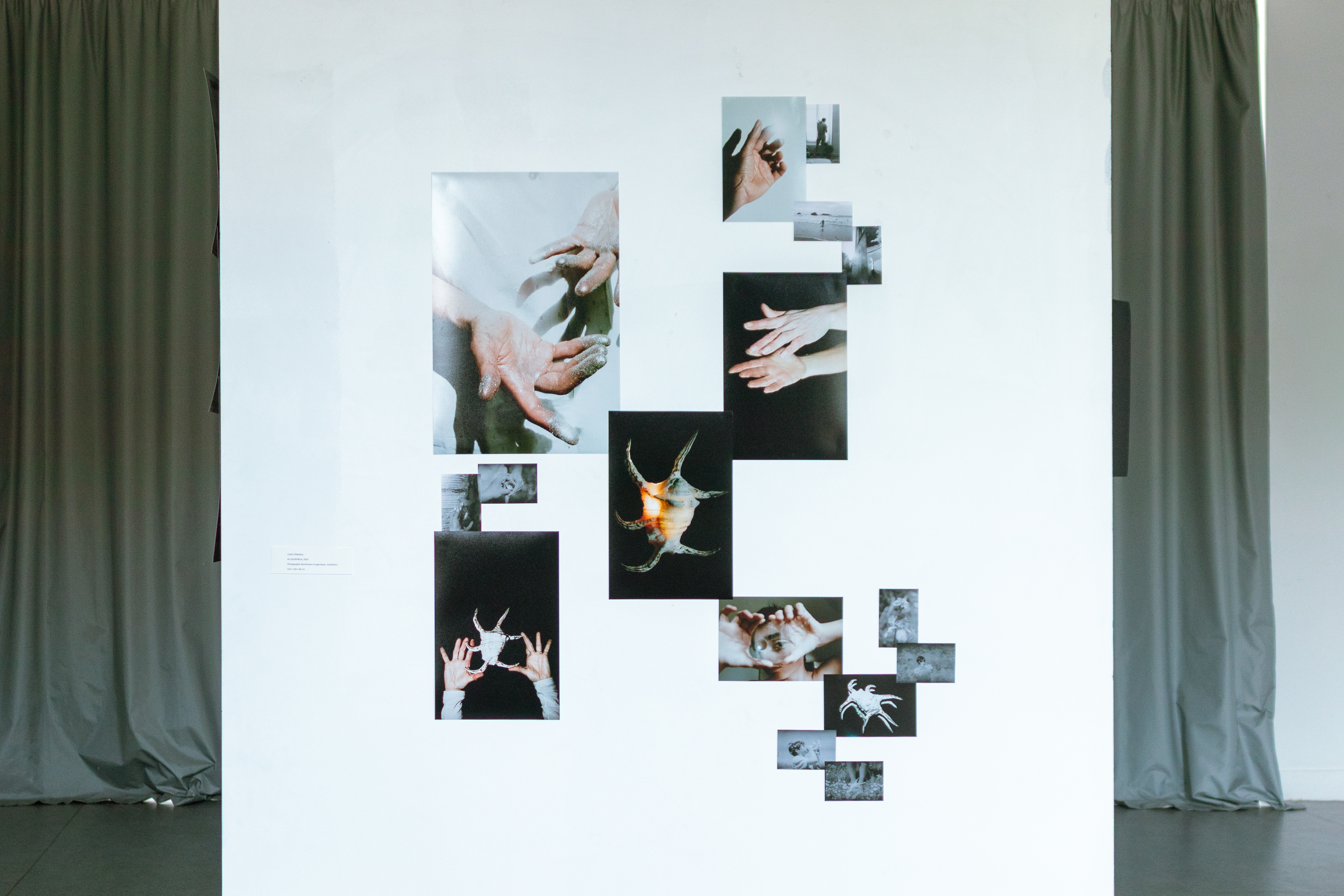 Mi Querencia – La Madeleine de Proust. Lieu intime – Exposition Portes Ouvertes / EBA 2026